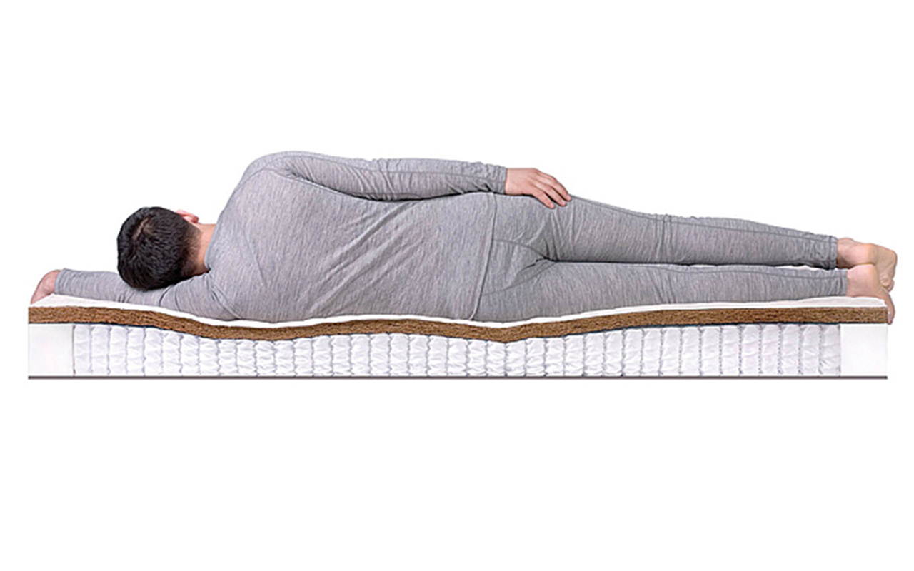 DreamLine Kombi 2 S1000 фото 4